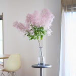 ［BIGボタニカル｜ドライ］スモークツリー 60-100㎝