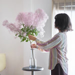 ［BIGボタニカル｜ドライ］スモークツリー 60-100㎝