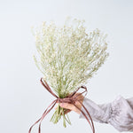 ＜baby's breath＞カスミソウのスワッグ