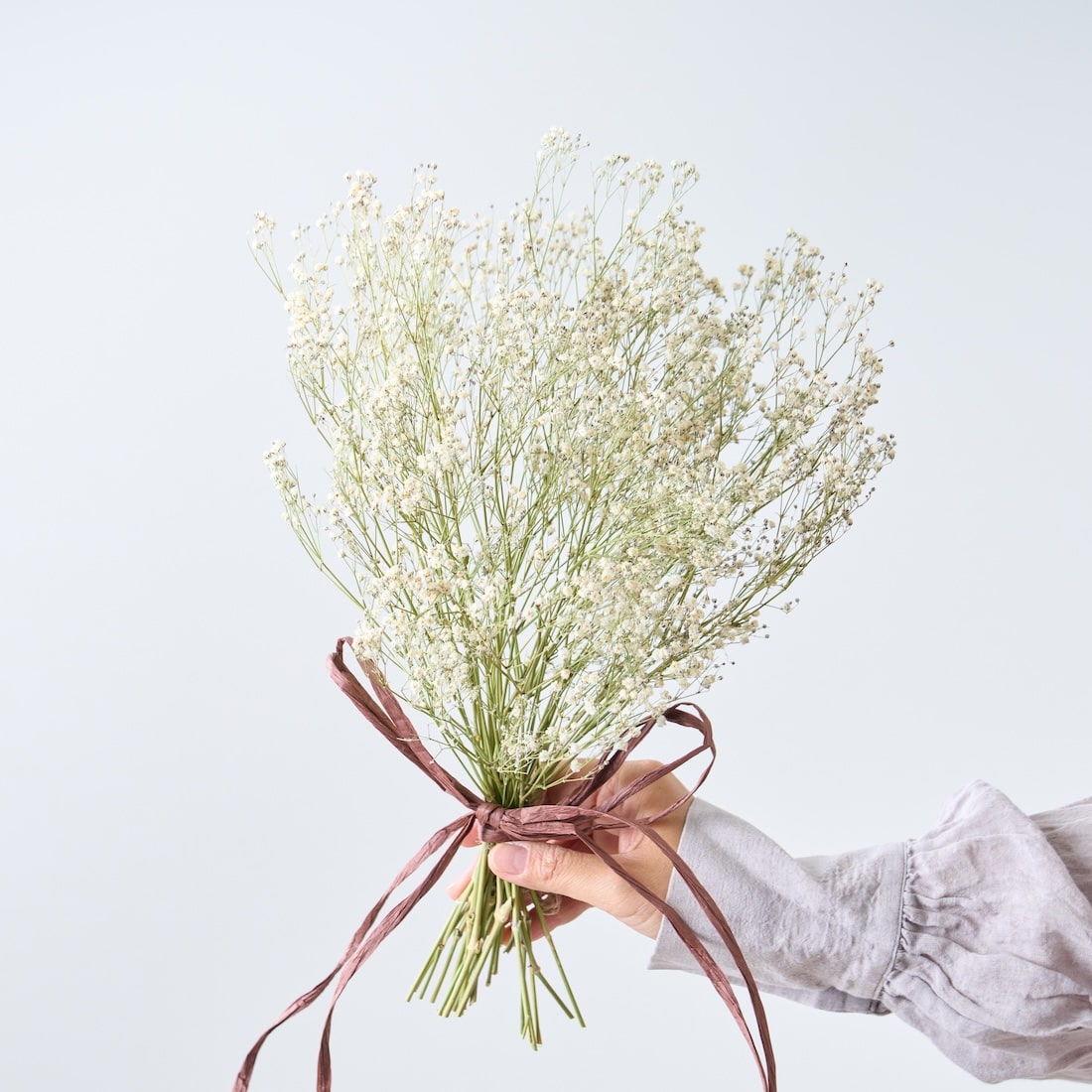baby's breath＞カスミソウのスワッグ 商品ページ - 土と風の植物園