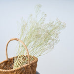 ＜baby's breath＞カスミソウのスワッグ