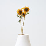 ［ドライフラワー］ゴッホのひまわり