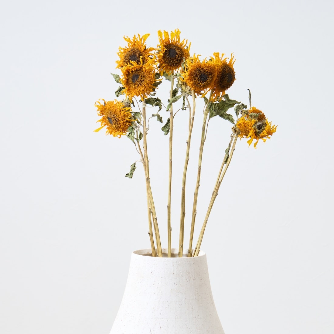 ドライフラワー］ゴッホのひまわり 商品ページ - 土と風の植物園