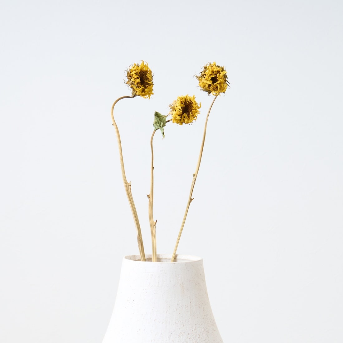 ［ドライフラワー］モネのひまわり