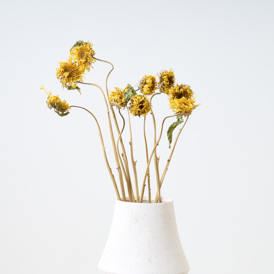 ［ドライフラワー］モネのひまわり