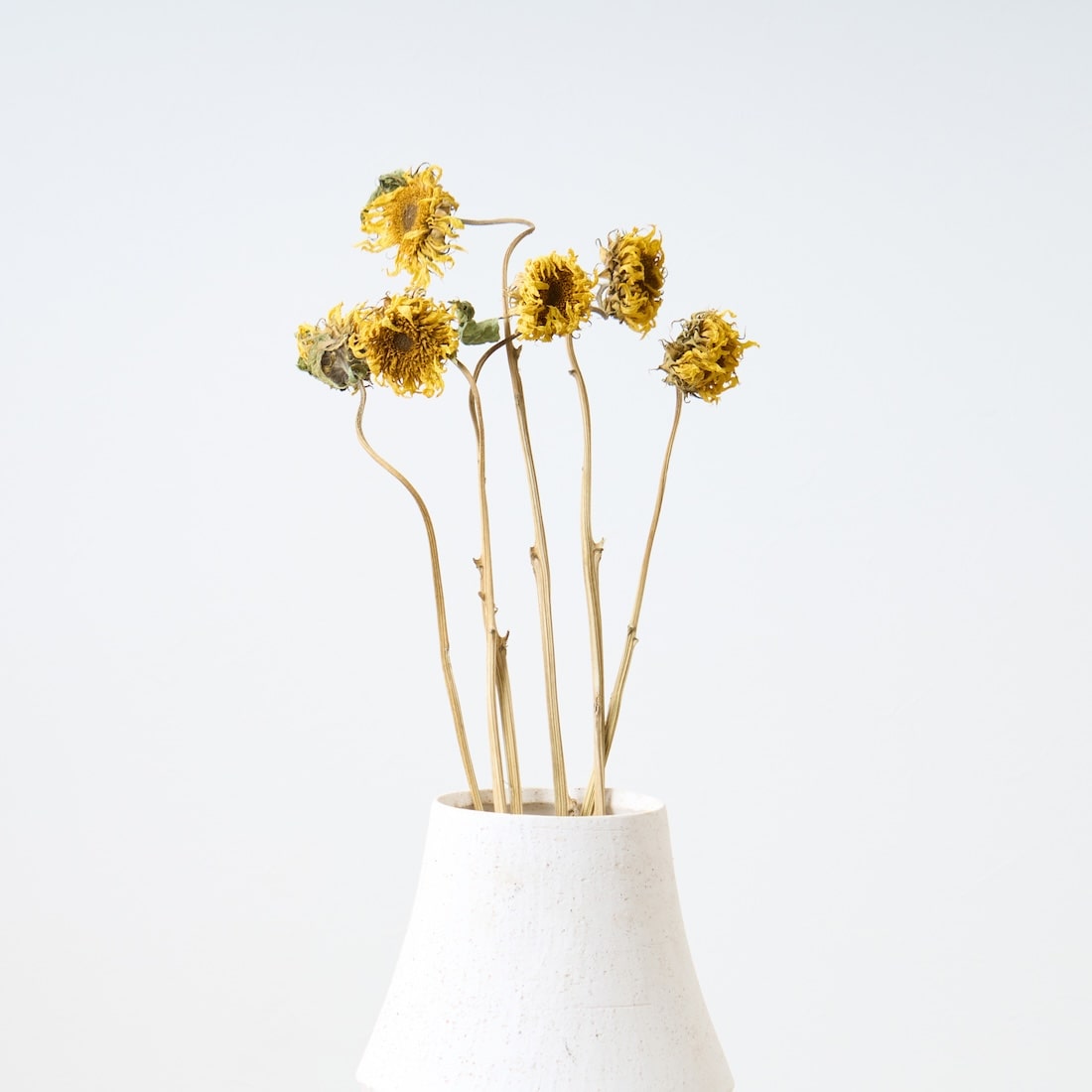［ドライフラワー］モネのひまわり