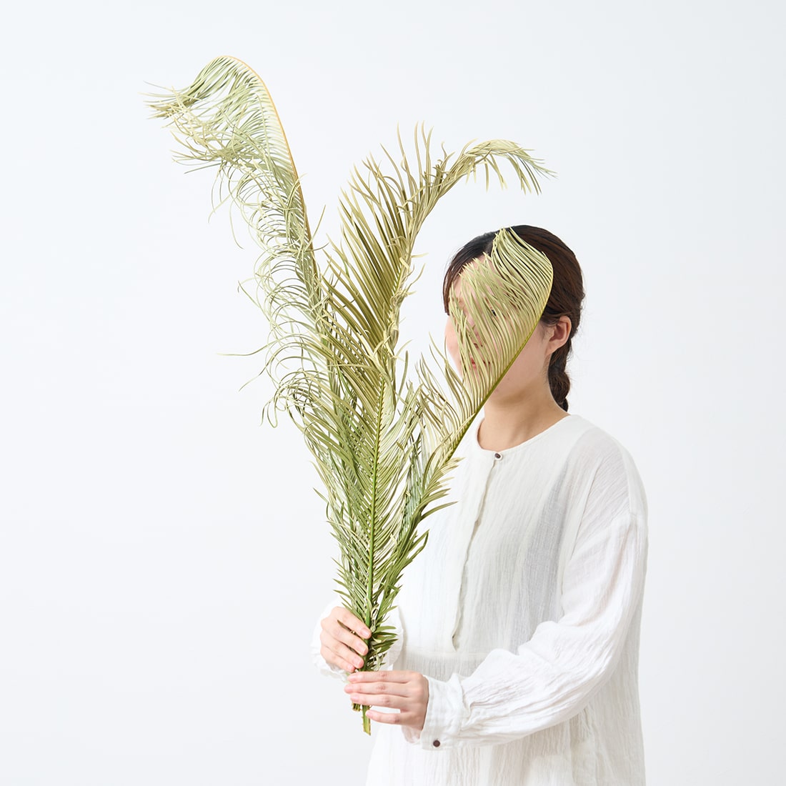 【極太株】ソテツ（蘇鉄）幹高◎ 迫力抜群‼️葉先190cm幹高110cm 極太株】ソテツ（蘇鉄）幹高◎ 迫力抜群‼️葉先190cm幹高110cm