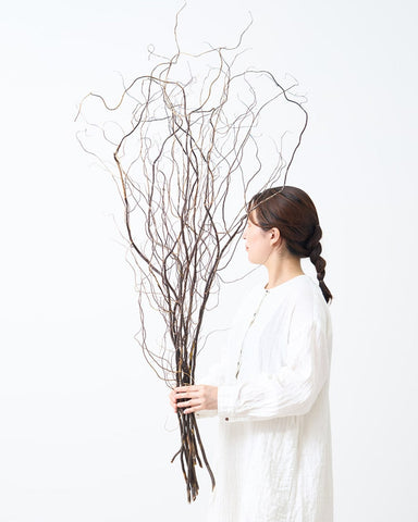 20250708_dragon_sclawwillow_00