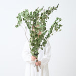 ［BIGボタニカル｜ドライ］ユーカリ おまかせ  90-100cm