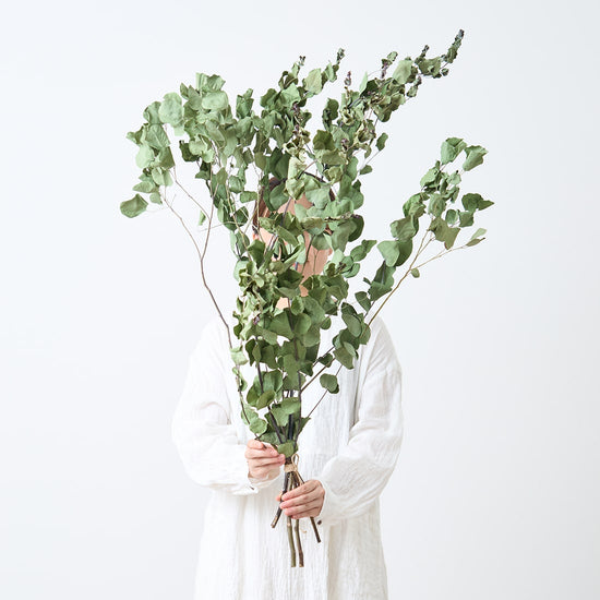 ［BIGボタニカル｜ドライ］ユーカリ おまかせ  90-100cm