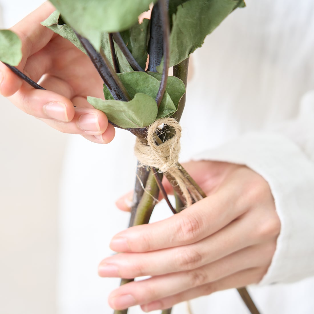 BIGボタニカル］ユーカリ 90-100cm 商品ページ - 土と風の植物園