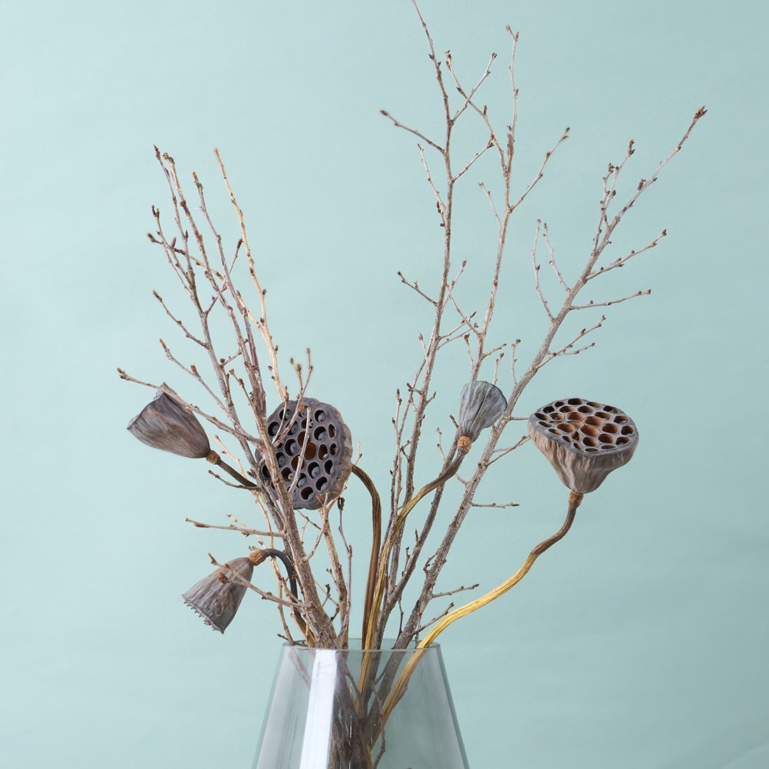 ドライフラワー］蓮商品ページ - 土と風の植物園