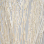 ［BIGボタニカル｜ドライ］ミツマタ（ホワイト）