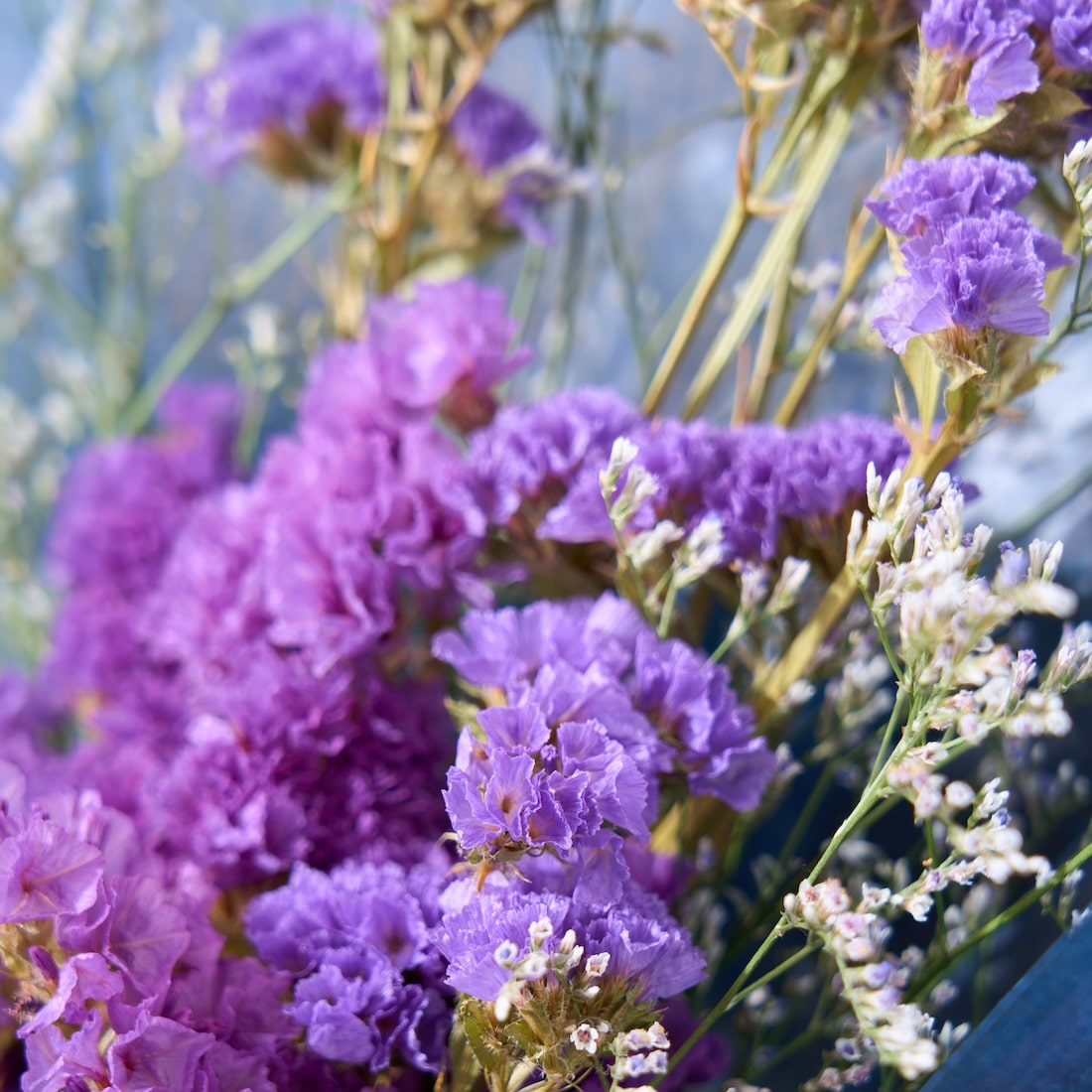 色とりどり・ドライフラワーのブーケ［ラッピング付］