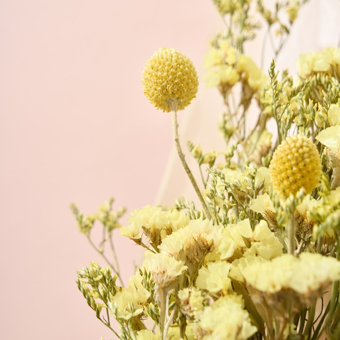 色とりどり・ドライフラワーのブーケ［ラッピング付］