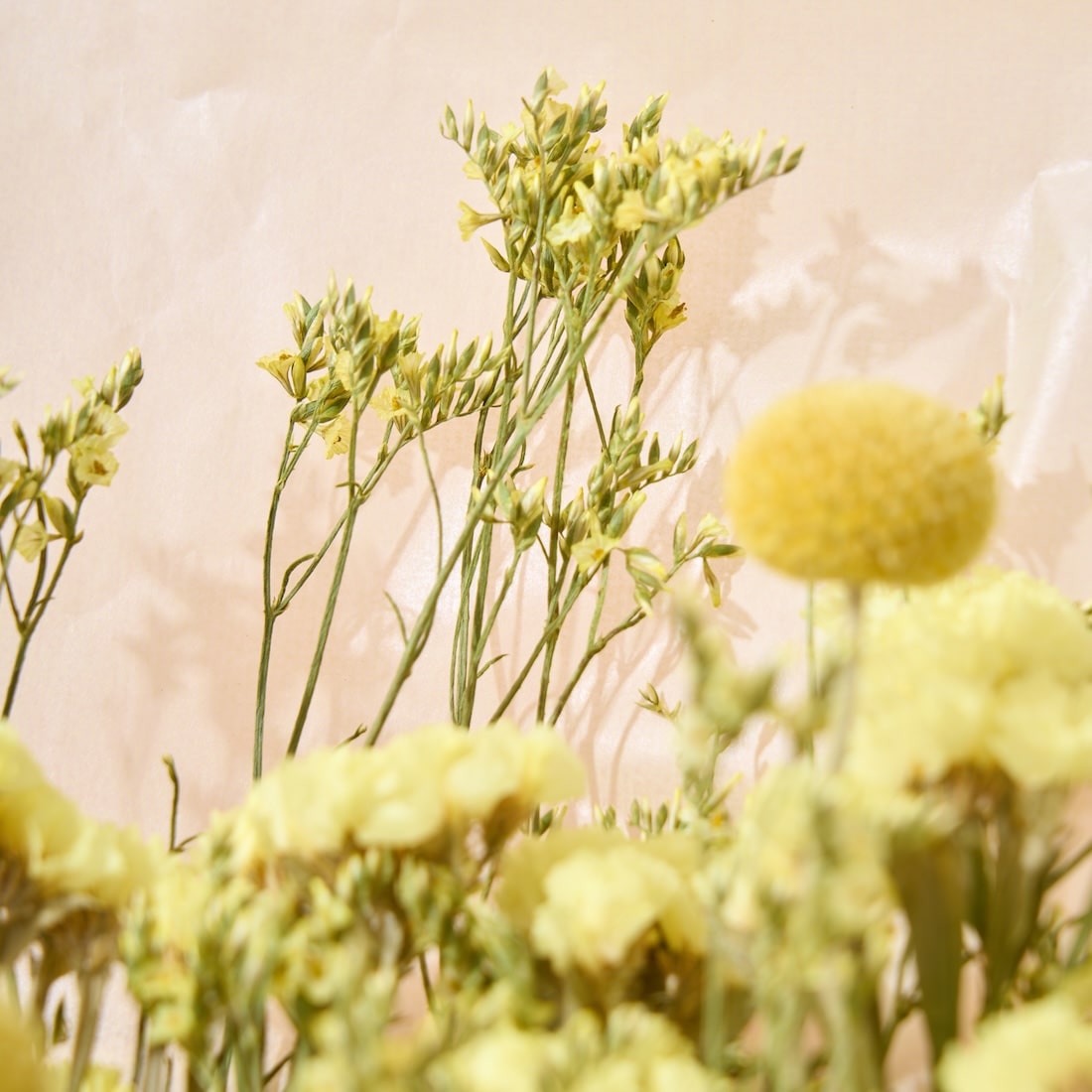 色とりどり・ドライフラワーのブーケ［ラッピング付］