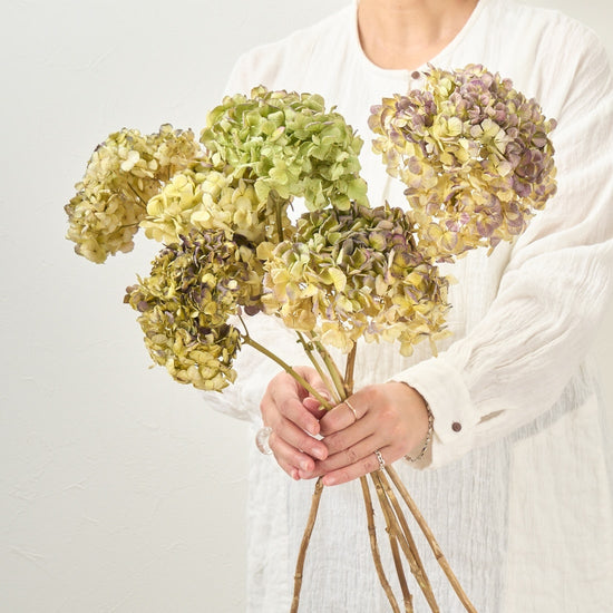 アンティークレモネードの紫陽花 2本セット