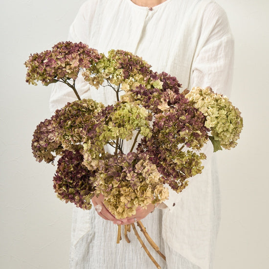 ［ドライフラワー］紫陽花 ユーアンドミートゥギャザー 2本セット