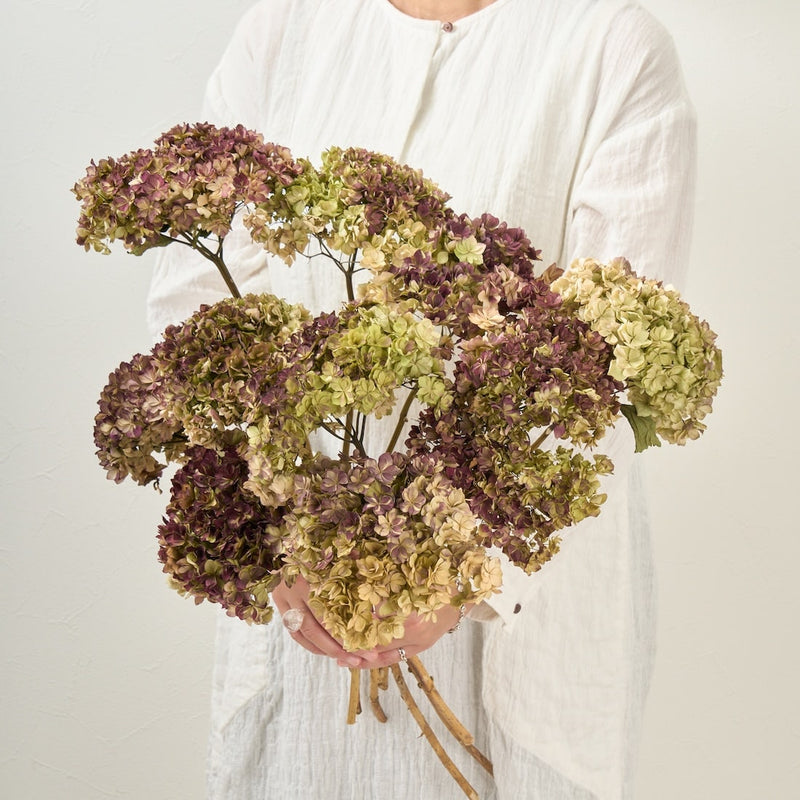 ひとつひとつ異なる、紫陽花の個性をお楽しみください