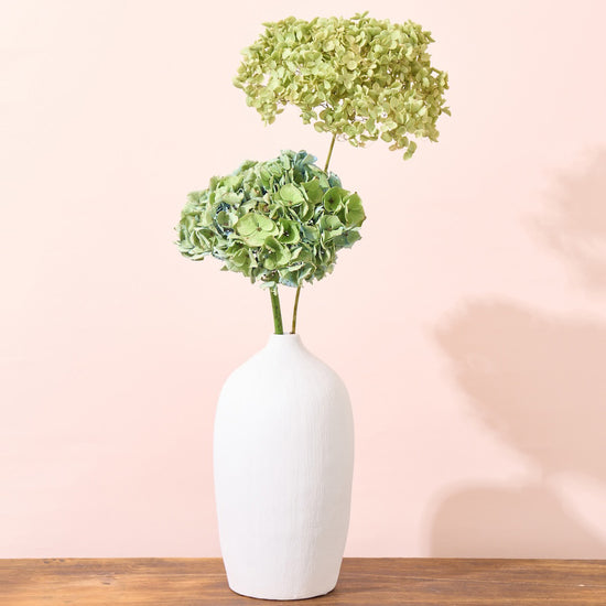 紫陽花アナベルとおすすめドライフラワーのセット