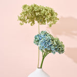 紫陽花アナベルとおすすめドライフラワーのセット