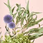 紫陽花アナベルとおすすめドライフラワーのセット