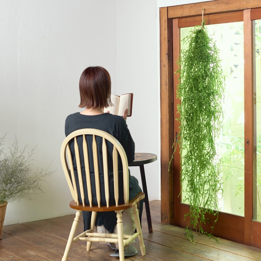 BIGボタニカル｜ドライ］ヒカゲノカズラ 100-160cm 商品ページ - 土と