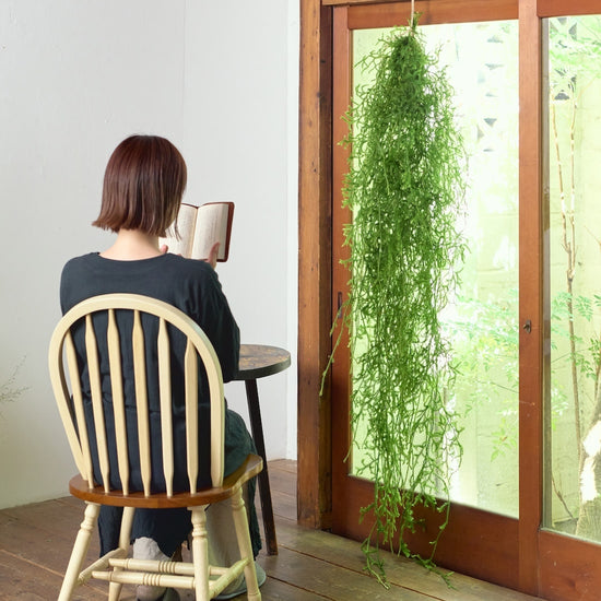 【期間限定10%OFF】［BIGボタニカル｜ドライ］ヒカゲノカズラ 100-160cm