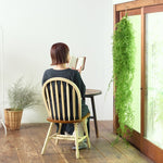 ［BIGボタニカル｜ドライ］ヒカゲノカズラ 100-160cm