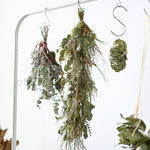 ＜冴えた音色＞アレカヤシ・ブルニア・ユーカリのスワッグ