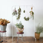 ＜エポック＞レモンリーフのオーバル型スワッグ