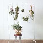 ＜ミルフィーユ＞ユーカリ ポポラスのリース