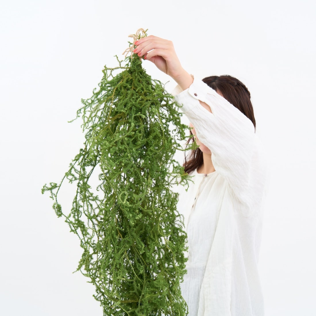 【期間限定10%OFF】［BIGボタニカル｜ドライ］ヒカゲノカズラ 100-160cm