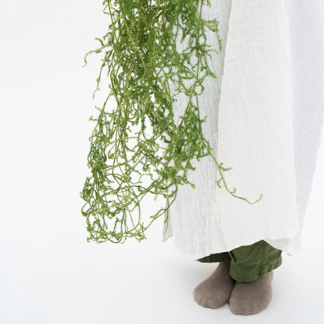 【期間限定10%OFF】［BIGボタニカル｜ドライ］ヒカゲノカズラ 100-160cm