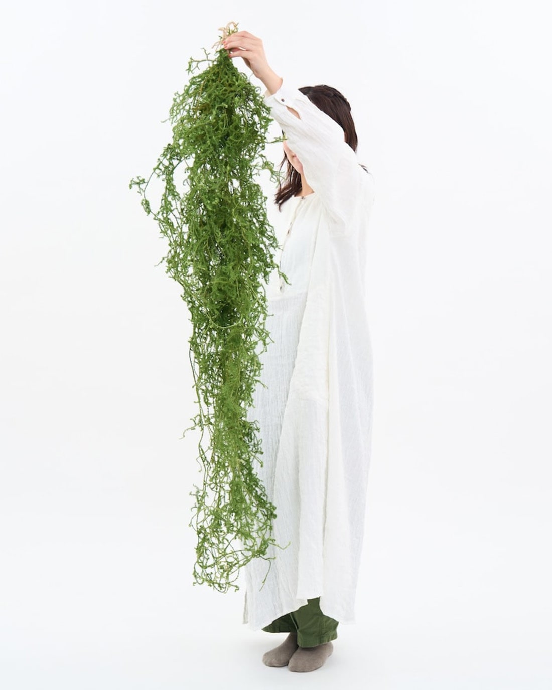 【期間限定10%OFF】［BIGボタニカル｜ドライ］ヒカゲノカズラ 100-160cm