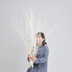 ［BIGボタニカル｜ドライ］雲竜柳 ホワイト 100-120cm