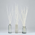 ［BIGボタニカル｜ドライ］雲竜柳 ホワイト 100-120cm