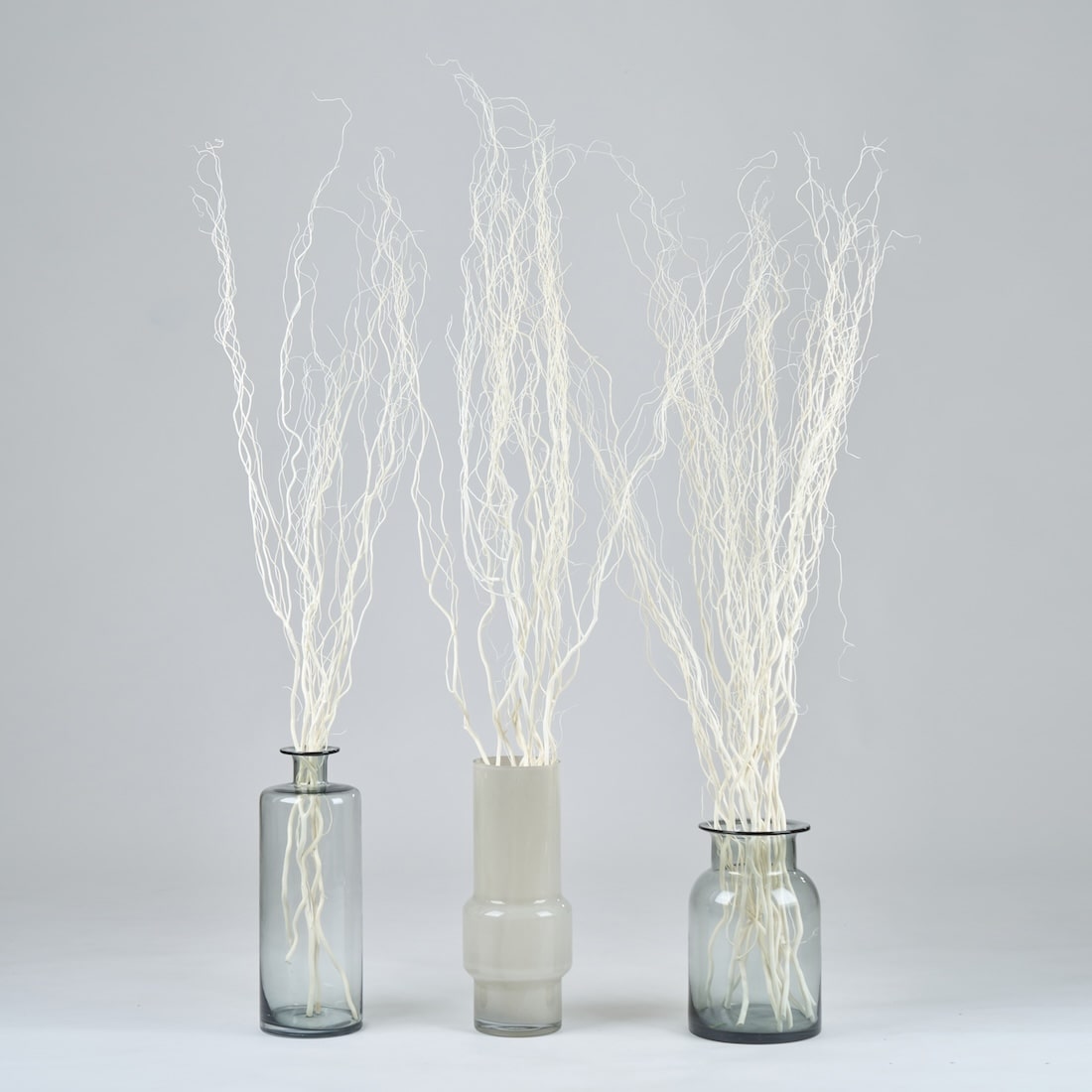 ［BIGボタニカル｜ドライ］雲竜柳 ホワイト 100-120cm