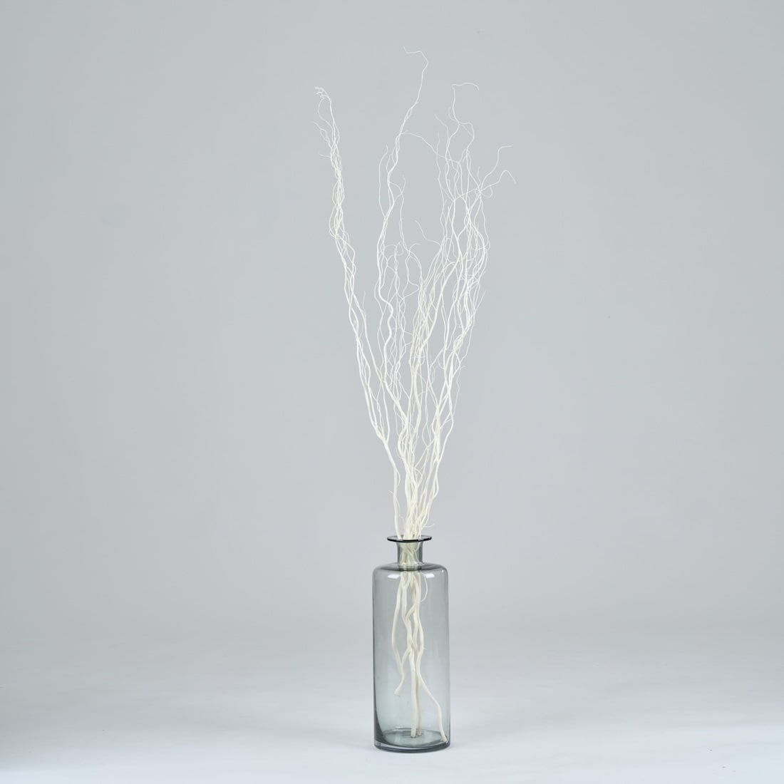 ［BIGボタニカル｜ドライ］雲竜柳 ホワイト 100-120cm