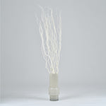 ［BIGボタニカル｜ドライ］雲竜柳 ホワイト 100-120cm