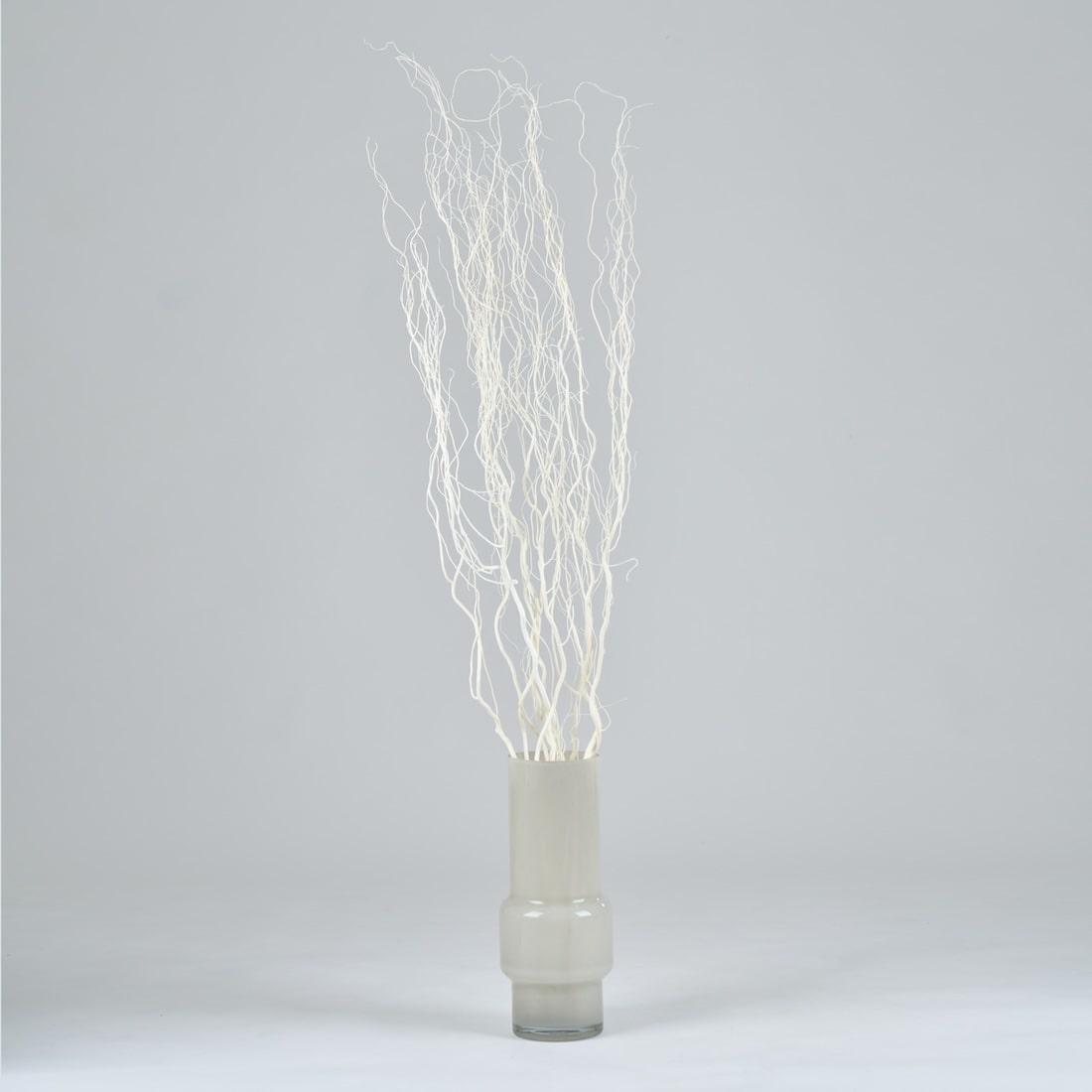 ［BIGボタニカル｜ドライ］雲竜柳 ホワイト 100-120cm