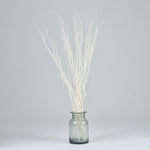 ［BIGボタニカル｜ドライ］雲竜柳 ホワイト 100-120cm