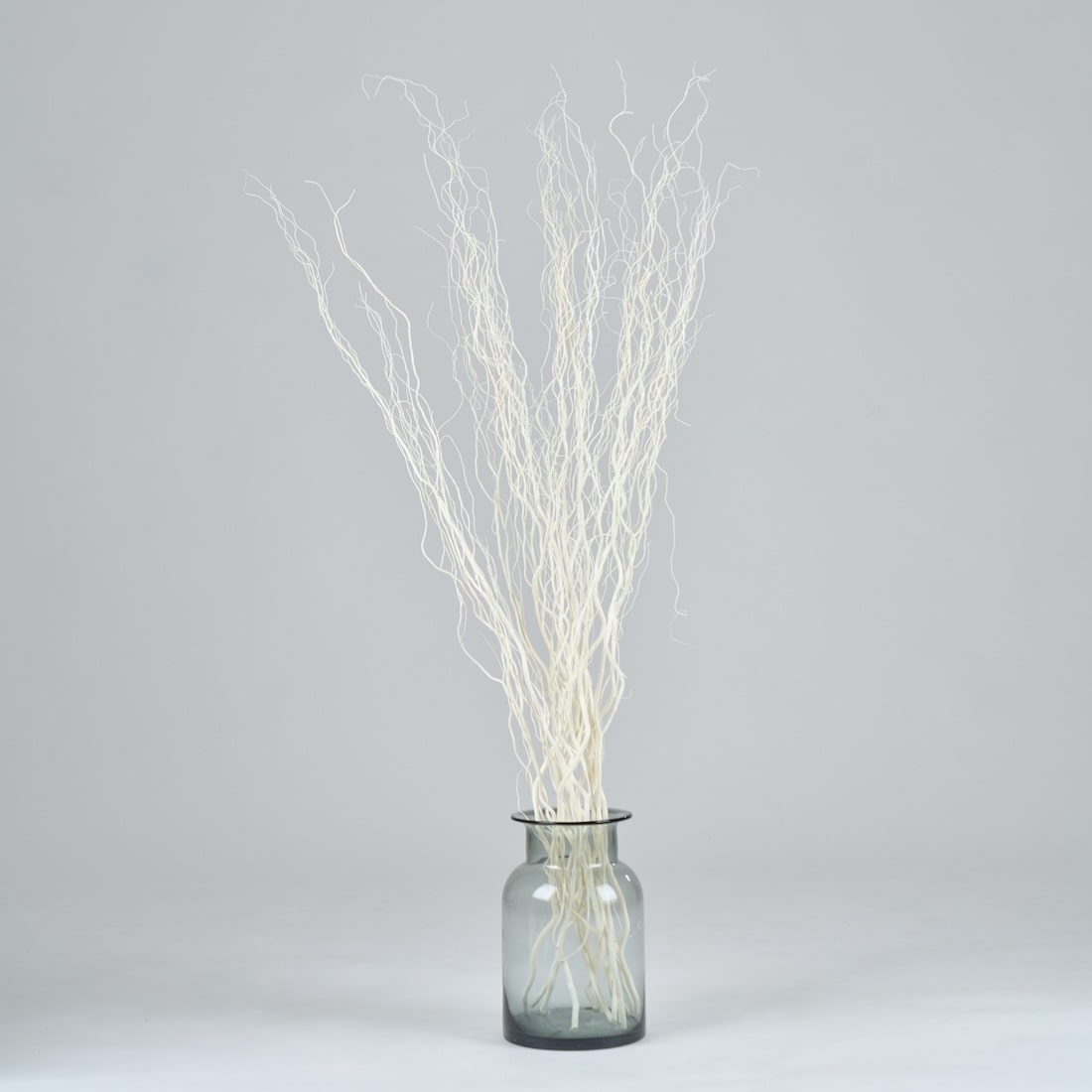 ［BIGボタニカル｜ドライ］雲竜柳 ホワイト 100-120cm