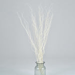 ［BIGボタニカル｜ドライ］雲竜柳 ホワイト 100-120cm
