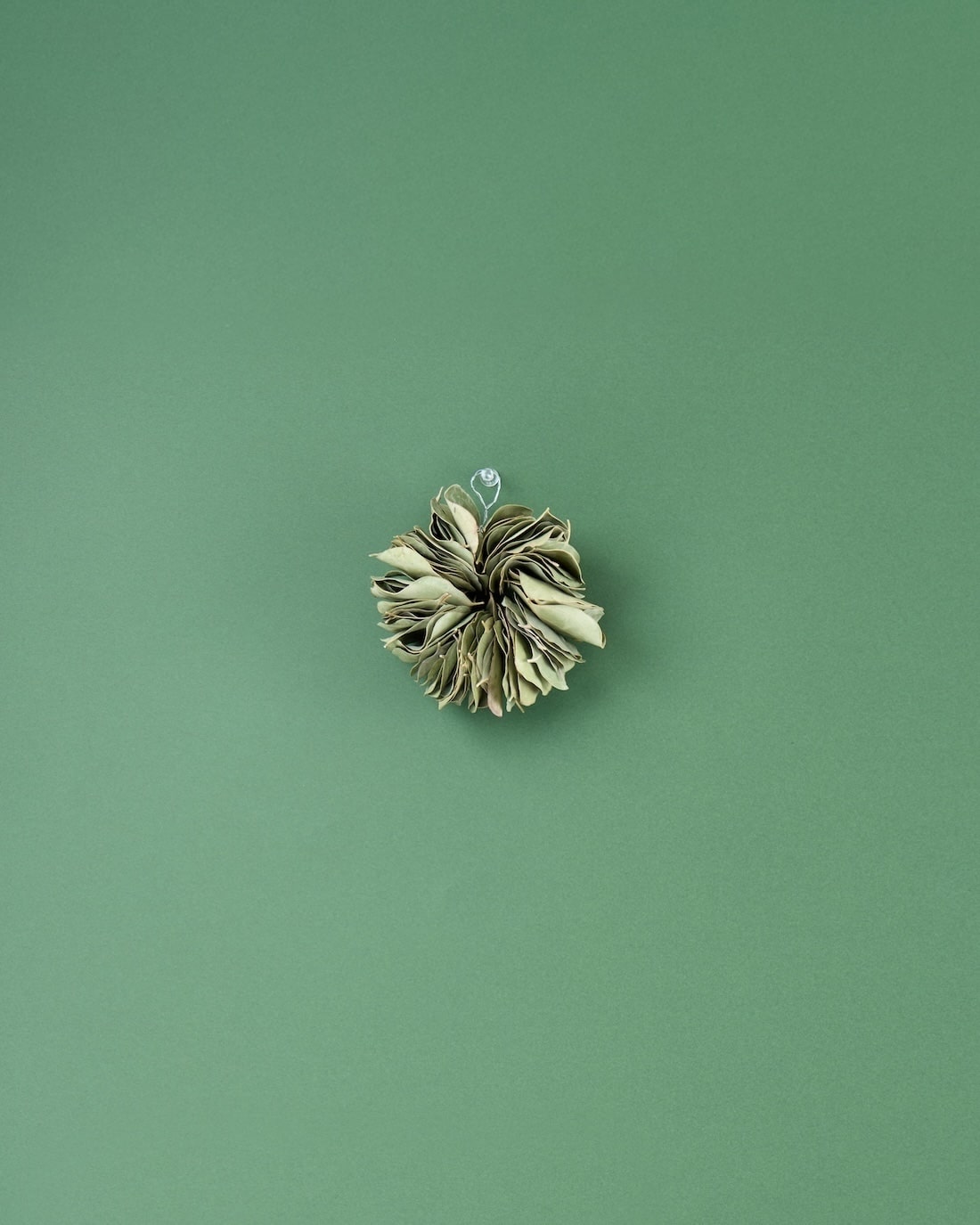 ＜ミルフィーユ＞ユーカリ ポポラスのリース