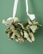 ＜エポック＞レモンリーフのオーバル型スワッグ