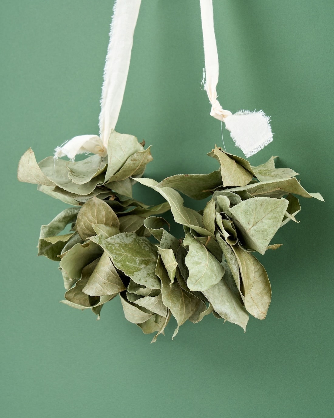 ＜エポック＞レモンリーフのオーバル型スワッグ