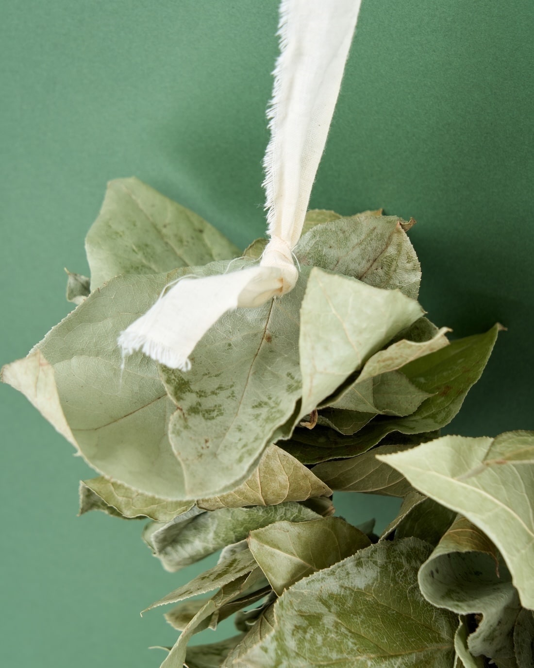 ＜エポック＞レモンリーフのオーバル型スワッグ