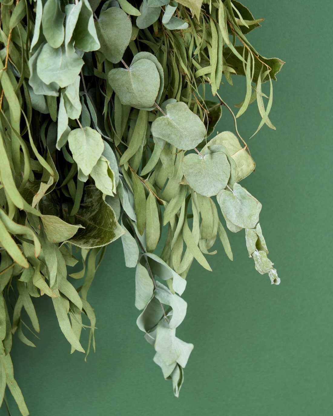 ＜GREEN＞ユーカリとアレカヤシのスワッグ