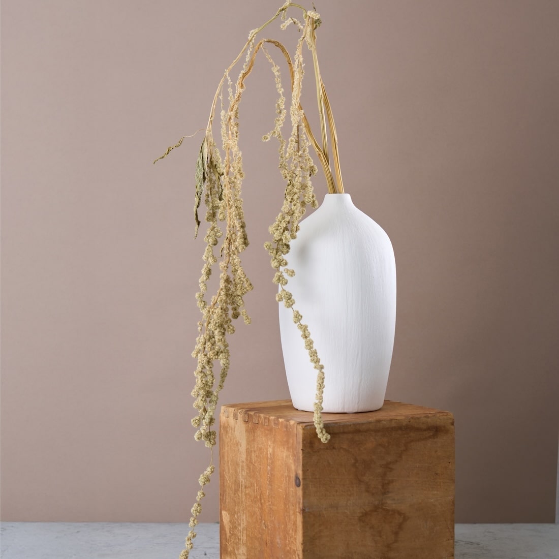 ［ドライフラワー］アマランサス グリーン